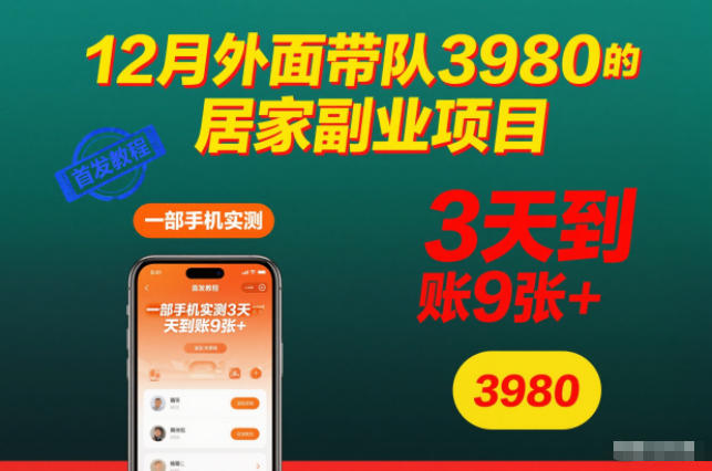 12月外面带队3980的居家副业项目，一部手机实测3天到账9张+，首发教程【揭秘】-优品网赚资源库