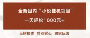 全新国内小说挂G项目,多窗口无脑跑,一天轻松1k+,特别省心【揭秘】-优品网赚资源库