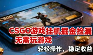 CSGO游戏挂G掘金捡漏，不需要玩游戏，操作简单，收益稳定【揭秘】-优品网赚资源库