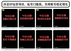 抖音IP运营项目,抖音今日主题玩法,起号门槛低,实现账号稳定增长-优品网赚资源库