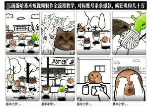 卤蛋哈基米短视频制作全流程教学，条条爆款，疯狂吸粉几十万-优品网赚资源库