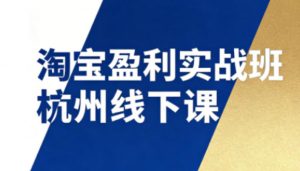 淘宝盈利实战班杭州线下课12月26-28日(音频+字幕),帮你掌握SOP流程+12门核心技术-优品网赚资源库