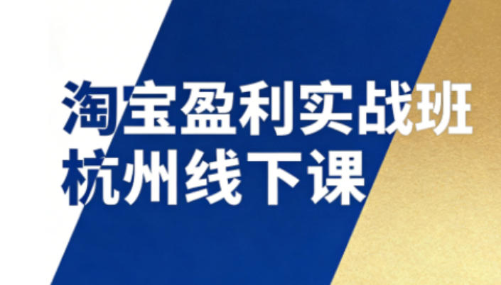 淘宝盈利实战班杭州线下课12月26-28日（音频+字幕），帮你掌握SOP流程+12门核心技术-优品网赚资源库
