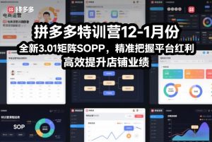 拼多多特训营12-1月份,全新3.01矩阵Sop,精准把握平台红利,高效提升店铺业绩-优品网赚资源库