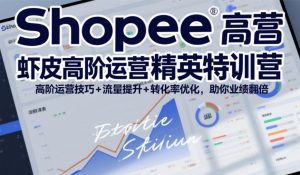 Shopee虾皮高阶运营精英特训营，高阶运营技巧+流量提升+转化率优化，助你业绩翻倍-优品网赚资源库