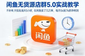 闲鱼无货源店群5.0实战教学，不补单，不投流，每天5小时，在闲鱼卖了几万单，每月5k到7k的净利润-优品网赚资源库