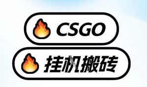 真全网独家CSGO挂G,最新玩法,单日捡漏1K+,不用电脑,不用打游戏【揭秘】-优品网赚资源库