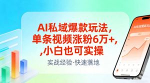 AI私域爆款玩法,单条视频涨粉6W+,小白也可实操-优品网赚资源库