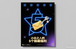 付费文章:小众之人的5个隐藏福利-优品网赚资源库