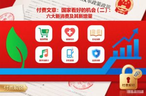 付费文章:国家看好的机会(二):六大新消费及其新增量-优品网赚资源库