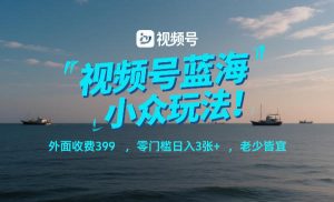 视频号蓝海小众玩法!外面收费399,零门槛日入3张+,老少皆宜-优品网赚资源库