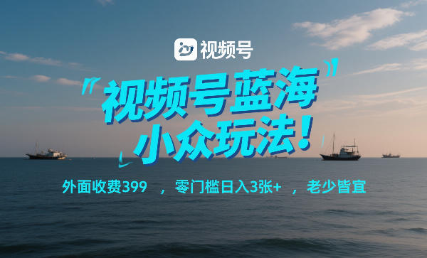 视频号蓝海小众玩法！外面收费399，零门槛日入3张+，老少皆宜-优品网赚资源库