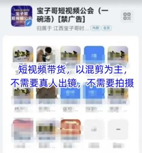 宝子哥头部团队短视频带货，以混剪为主，不需要真人出镜，不需要拍摄【更新26年3月】-优品网赚资源库