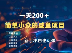 一天收入2张，一个简单小众的咸鱼项目，0门槛小白也能做-优品网赚资源库