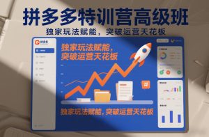 拼多多特训营高阶班,独家玩法赋能,突破运营天花板(更新26年3月13日)-优品网赚资源库