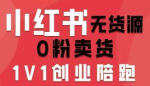 小红书无货源0粉电商课,开店准备、选品策略、笔记撰写、视频剪辑、数据分析、账号打造、资料文档(更新26年3月)-优品网赚资源库