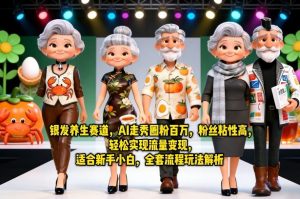 银发养生赛道,AI走秀圈粉百万,粉丝粘性高,轻松实现流量变现,适合新手小白,全套流程玩法解析-优品网赚资源库