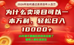 一单净利润1K+，26年想年入100个W，死磕卖项目就够了【揭秘】-优品网赚资源库