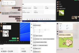 雷神加速器项目模拟器_无脑1分钟1条视频矩阵_疯狂报单打法【焚诀】-优品网赚资源库