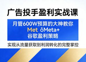 广告投手盈利实战课,月管600W预算的大神教你Meta+谷歌盈利策略,实现从流量获取到利润转化的完整掌控-优品网赚资源库