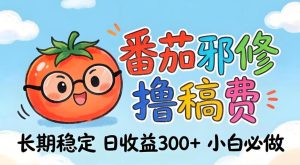 番茄撸金术:日入300+稳如泰山!独家玩法曝光,操作门槛极低,无需经验,小白闭眼上车【揭秘】-优品网赚资源库
