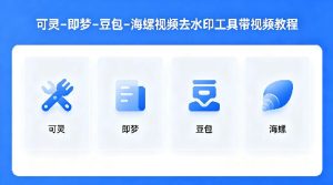 可灵–即梦–豆包–海螺视频去水印工具带视频教程-优品网赚资源库