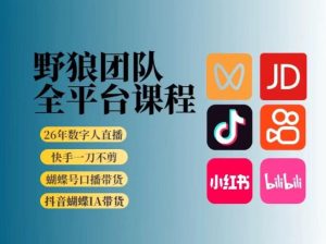 野狼团队2026新版全平台短视频带货教学，打开流量突破口，开始Ai带货（更新26年4月25日）-优品网赚资源库