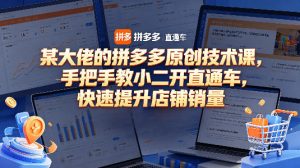 某大佬的拼多多原创技术课，手把手教小二开直通车，快速提升店铺销量-优品网赚资源库