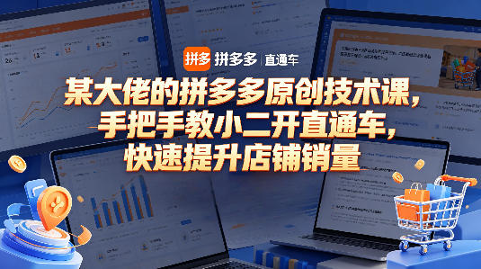 某大佬的拼多多原创技术课，手把手教小二开直通车，快速提升店铺销量-优品网赚资源库