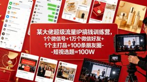 某大佬超级流量IP搞钱训练营，1个微信号+1万个微信好友+1个主打品+100条朋友圈-短视选题=100W-优品网赚资源库