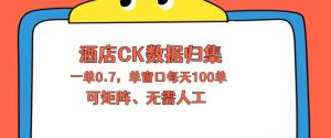 上班也能玩的酒店CK数据归集，一单0.7单窗口每天可做100单，一个人就能矩阵操作【揭秘】-优品网赚资源库