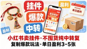 小红书卖挂件，不囤货纯中转复制爆款玩法，单日盈利3-5张-优品网赚资源库