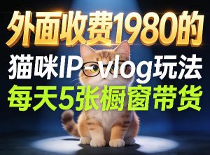 宠物赛道猫咪IP-vlog玩法，26条视频涨粉29W，每天5张橱窗带货拆解-优品网赚资源库