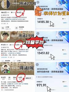 抖音17W粉丝博主亲授AI作图实战教学，0基础轻松学，可入创作者伙伴计划，接单收徒双增收-优品网赚资源库