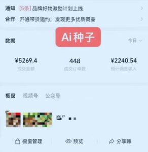 视频号AI种子带货，0粉0保证金就可做，人人能做，实操日入1k+-优品网赚资源库