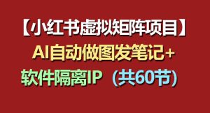 小红书虚拟矩阵项目：软件隔离IP+AI自动做图发笔记（共60节）-优品网赚资源库