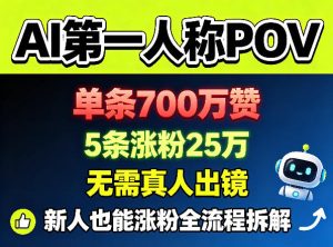 AI第一人称POV，单条700W赞，5条涨粉25W，无需真人出镜，新人也能涨粉全流程拆解-优品网赚资源库