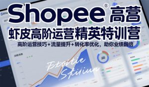 Shopee虾皮高阶运营精英特训营，高阶运营技巧+流量提升+转化率优化，助你业绩翻倍（更新26年5月）-优品网赚资源库