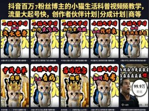 抖音百万粉丝博主的小猫生活科普视频教学，流量大起号快，创作者伙伴计划|分成计划|商单|收徒等-优品网赚资源库
