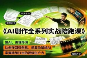 AI剧作全系列实战陪跑课，懂AI，更懂导演，让创作回归创意，把复杂留给AI，掌握降维打击的视频生产力-优品网赚资源库