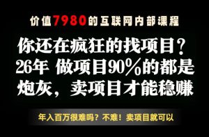 26年请不要疯狂的找项目了，卖项目远比你想象的暴利，你也可以月入10W+【揭秘】-优品网赚资源库