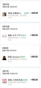 宠物托运阳光赛道賺钱教学,小众高刚需冷门项目,日均10单稳定盈利,单均利润200+-优品网赚资源库