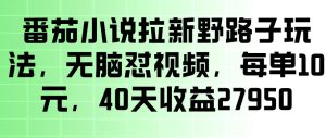 番茄小说拉新野路子玩法，无脑怼视频，玩法简单、见效快，每单10米，40天收益27950-优品网赚资源库
