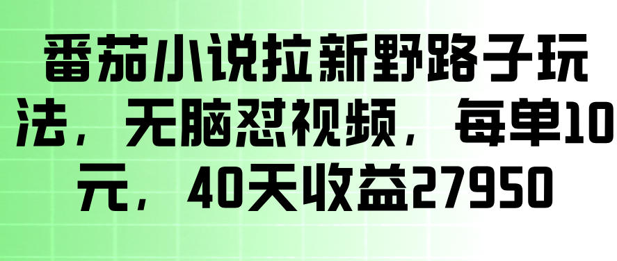 番茄小说拉新野路子玩法，无脑怼视频，玩法简单、见效快，每单10米，40天收益27950-优品网赚资源库
