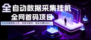 全自动数据采集挂G,全网首码项目,简单易操作,小白也能轻松上手,多账号操作,轻松日入500+【揭秘】-优品网赚资源库