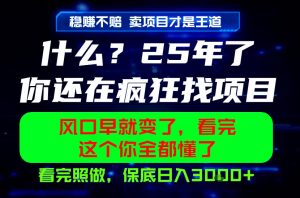 26年，请不要疯狂的找项目做了！卖项目才是真的稳賺不赔，看完照做，保底日入1k+【揭秘】-优品网赚资源库