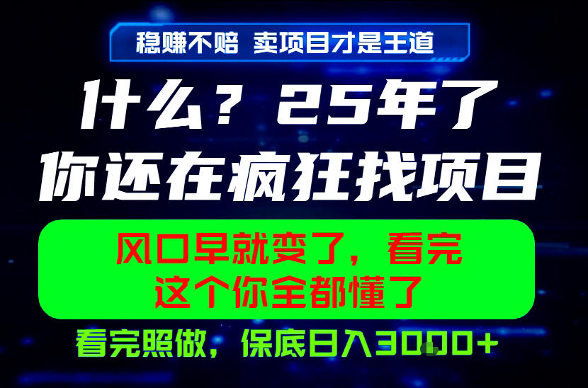 26年，请不要疯狂的找项目做了！卖项目才是真的稳賺不赔，看完照做，保底日入1k+【揭秘】-优品网赚资源库