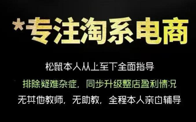 松鼠会电商VIP课程，从基础布局到高阶优化，助你掌握淘宝运营逻辑，提升店铺流量与转化（更新0626）-优品网赚资源库