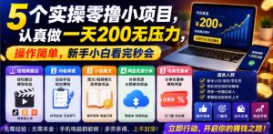 5个实操零撸小项目，认真做一天200无压力，操作简单，新手小白看完秒会【揭秘】-优品网赚资源库