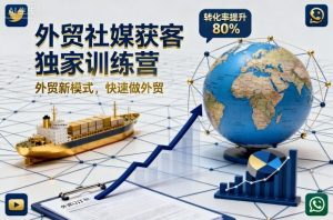 外贸社媒获客独家训练营，外贸新模式，快速做外贸（更新26年6月）-优品网赚资源库